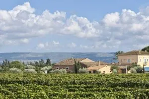 A-Winery-near-Ragusa