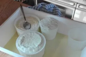 Ricotta-Cheese1780448