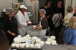 ALIA – Cheese making