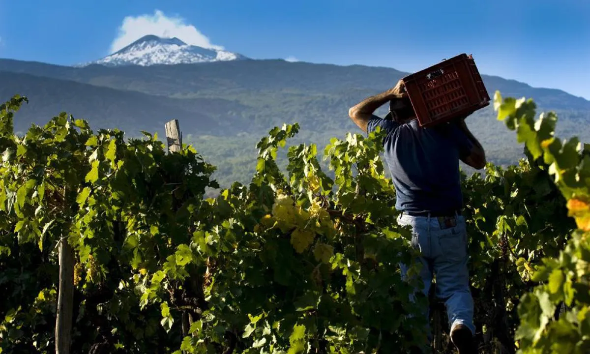 Etna Winery