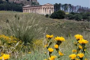 segesta_canva (2)