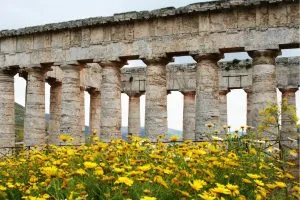 segesta_canva (8)